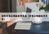 软件开发公司起名字大全（开发公司取名字大全）