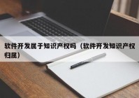 软件开发属于知识产权吗（软件开发知识产权归属）