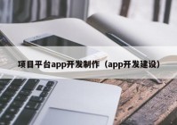 项目平台app开发制作（app开发建设）