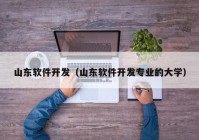 山东软件开发（山东软件开发专业的大学）