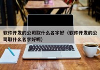 软件开发的公司取什么名字好（软件开发的公司取什么名字好呢）