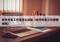 软件开发工作室怎么创业（软件开发工作室赚钱吗）