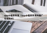 app小程序开发（app小程序开发的推广引流技术）