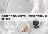 昆明软件开发公司哪个好（昆明软件开发公司哪个好些）