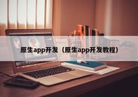 原生app开发（原生app开发教程）