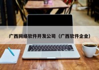 广西网络软件开发公司（广西软件企业）