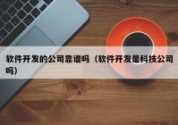 软件开发的公司靠谱吗（软件开发是科技公司吗）