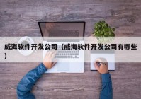 威海软件开发公司（威海软件开发公司有哪些）