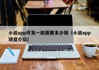 小说app开发一般需要多少钱（小说app项目介绍）