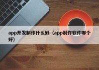 app开发制作什么好（app制作软件哪个好）