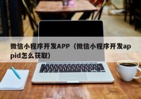 微信小程序开发APP（微信小程序开发appid怎么获取）