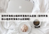 软件开发和小程序开发有什么区别（软件开发和小程序开发有什么区别呢）