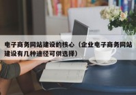 电子商务网站建设的核心（企业电子商务网站建设有几种途径可供选择）